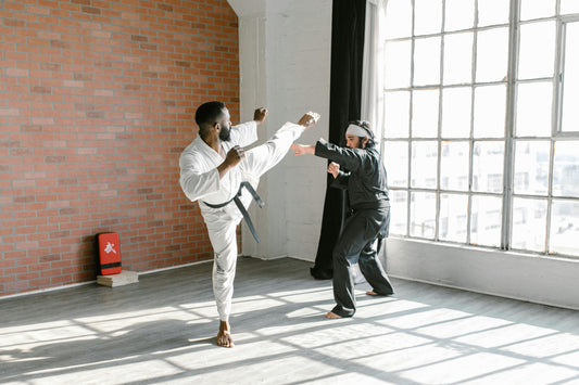 Martial Arts vs. Combat Sports – Traditional vs. Modern Fighting Styles