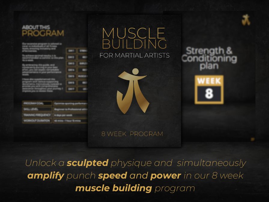 8 week muscle online building program