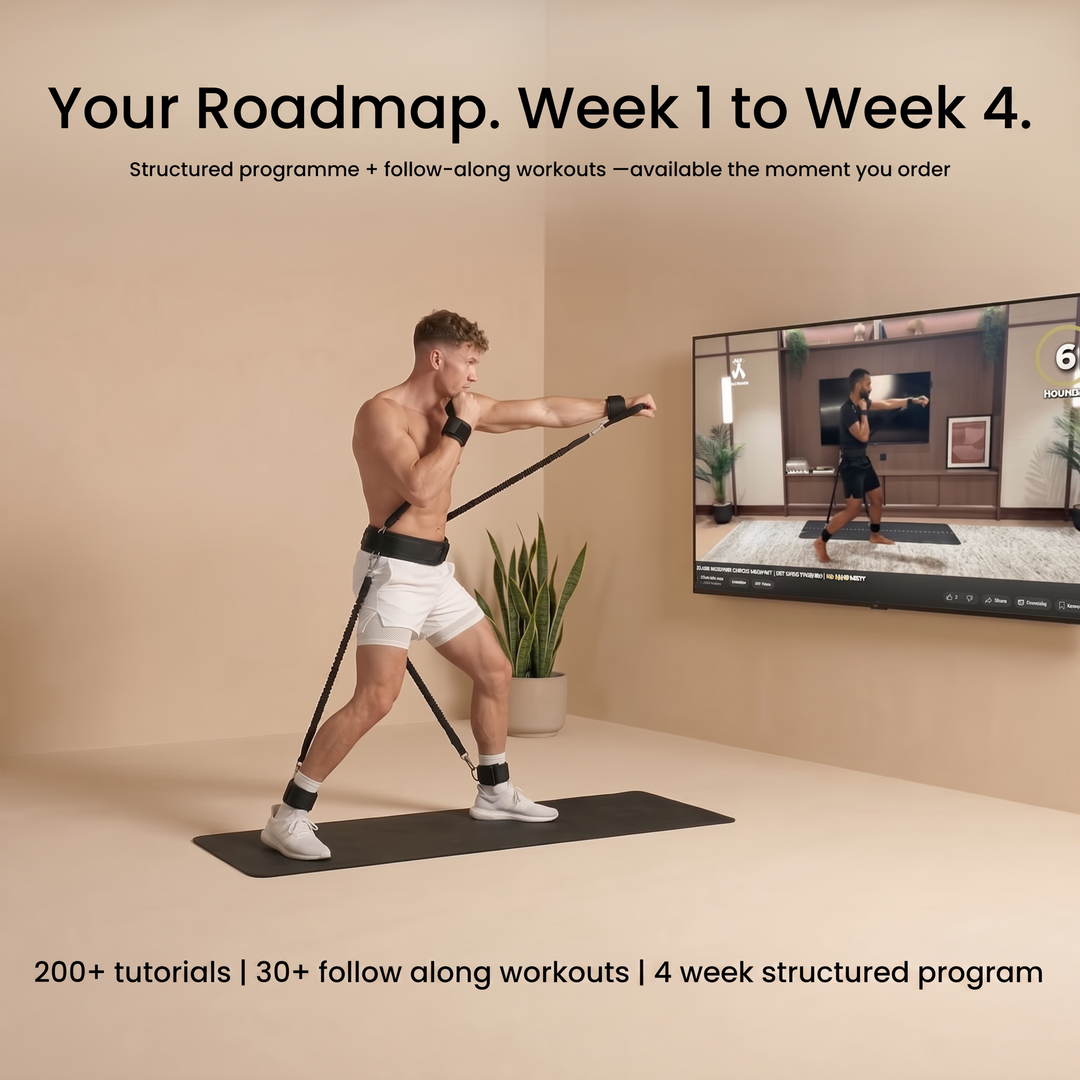 Ji Home Fighter Kit
