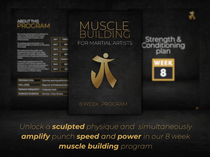 Muscle building for martial artists: 8 week program