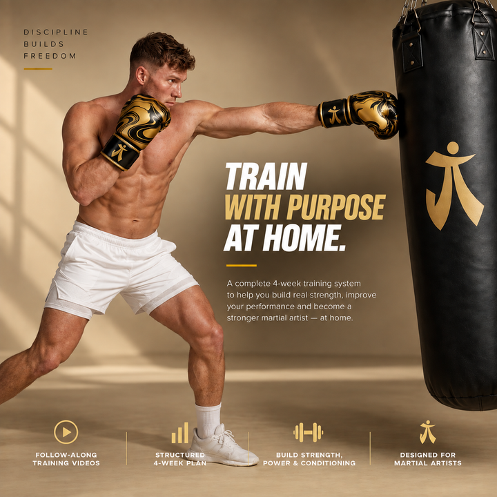 Ji Home Fighter Programme